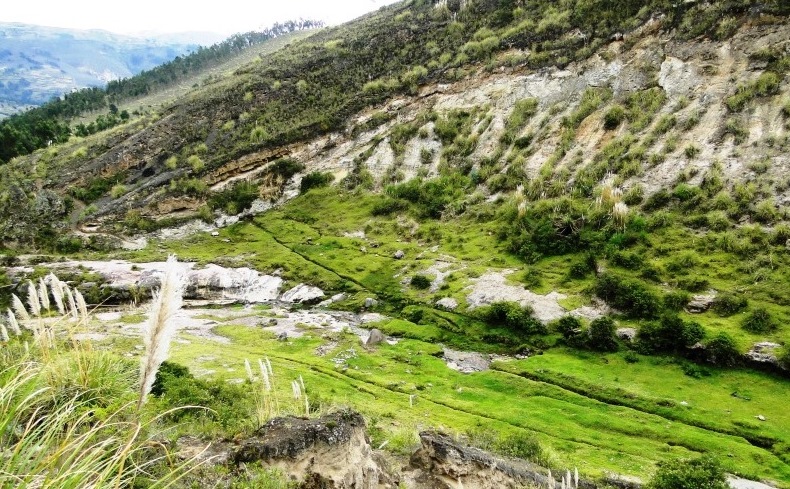 Fósiles en la cordillera ecuatoriana